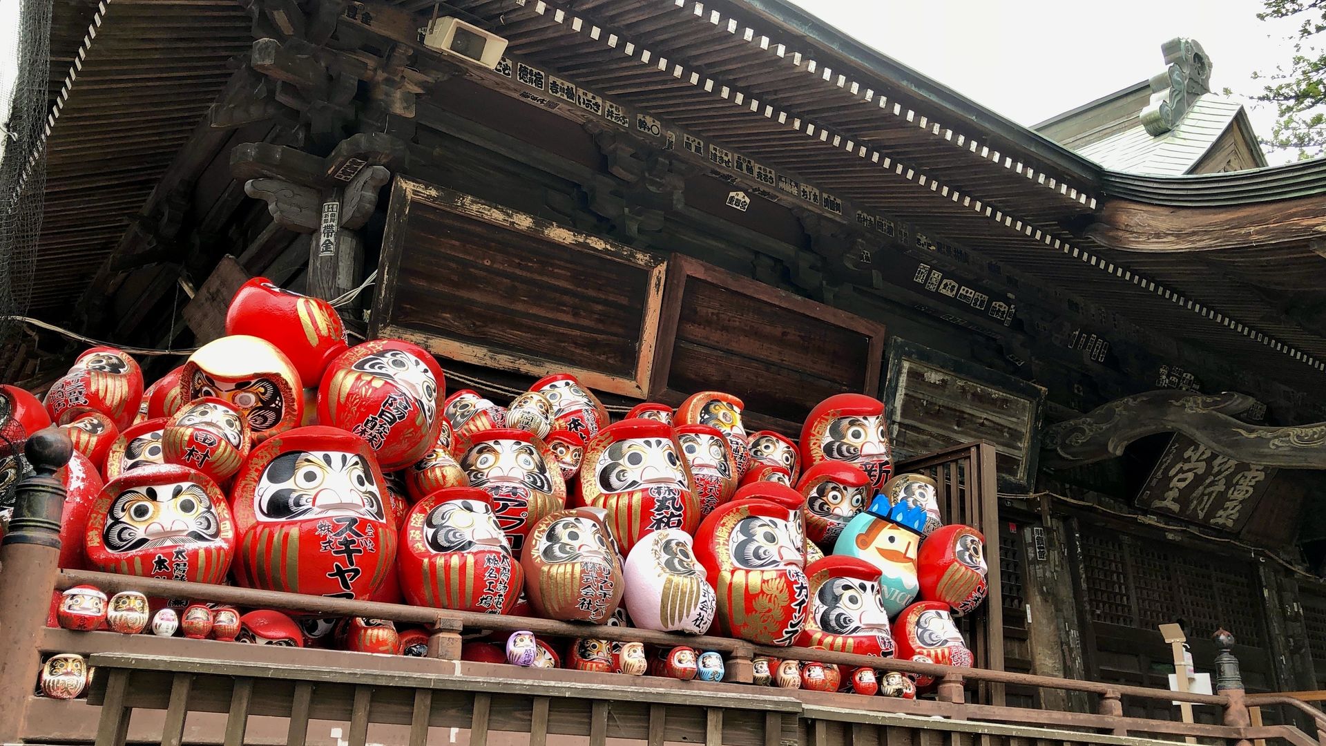 Learn more about Daruma in Sholin Yama (Gunma)