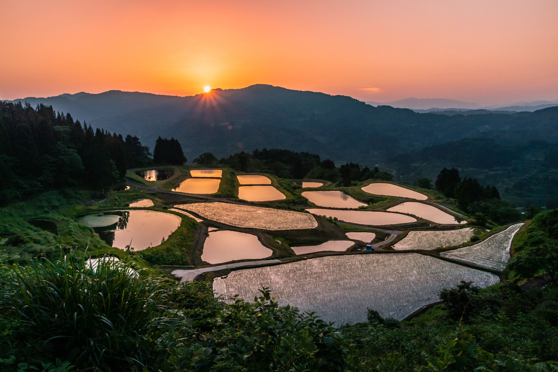 Learn more about "Early summer awakening (Yamakoshi's rice terraces and ponds) (Niigata) "  FIND/47