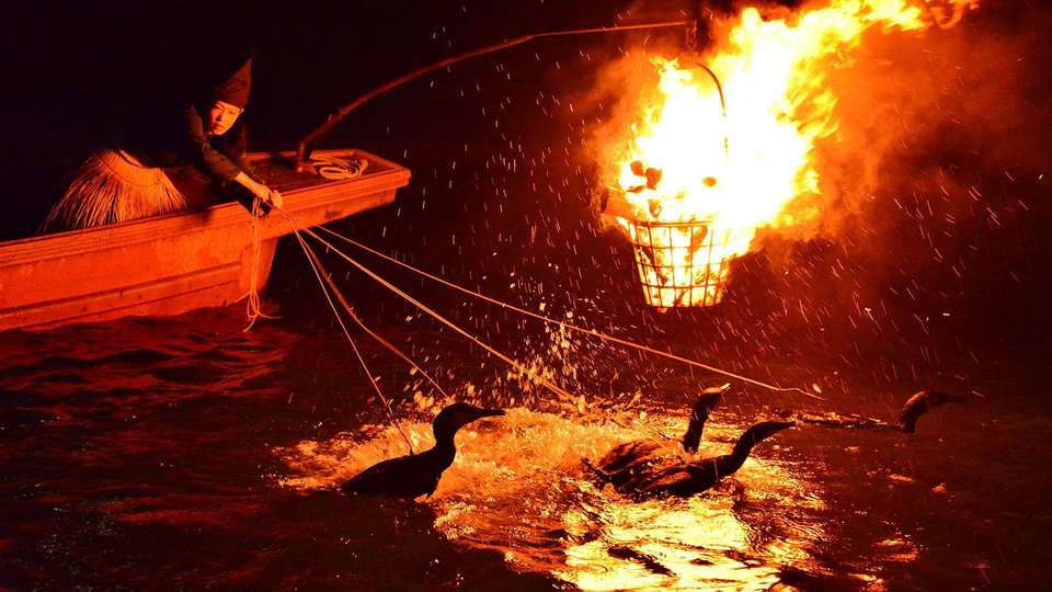 Uji River Cormorant Fishing Kyoto by FIND47.JP