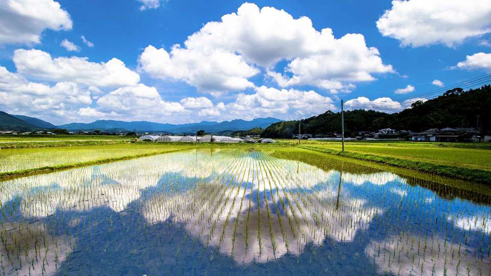 Paddy fields Kumamoto by FIND47.JP