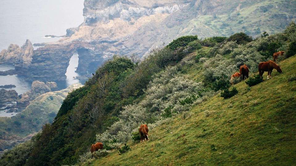 Kuniga Beach Shimane by FIND47.JP