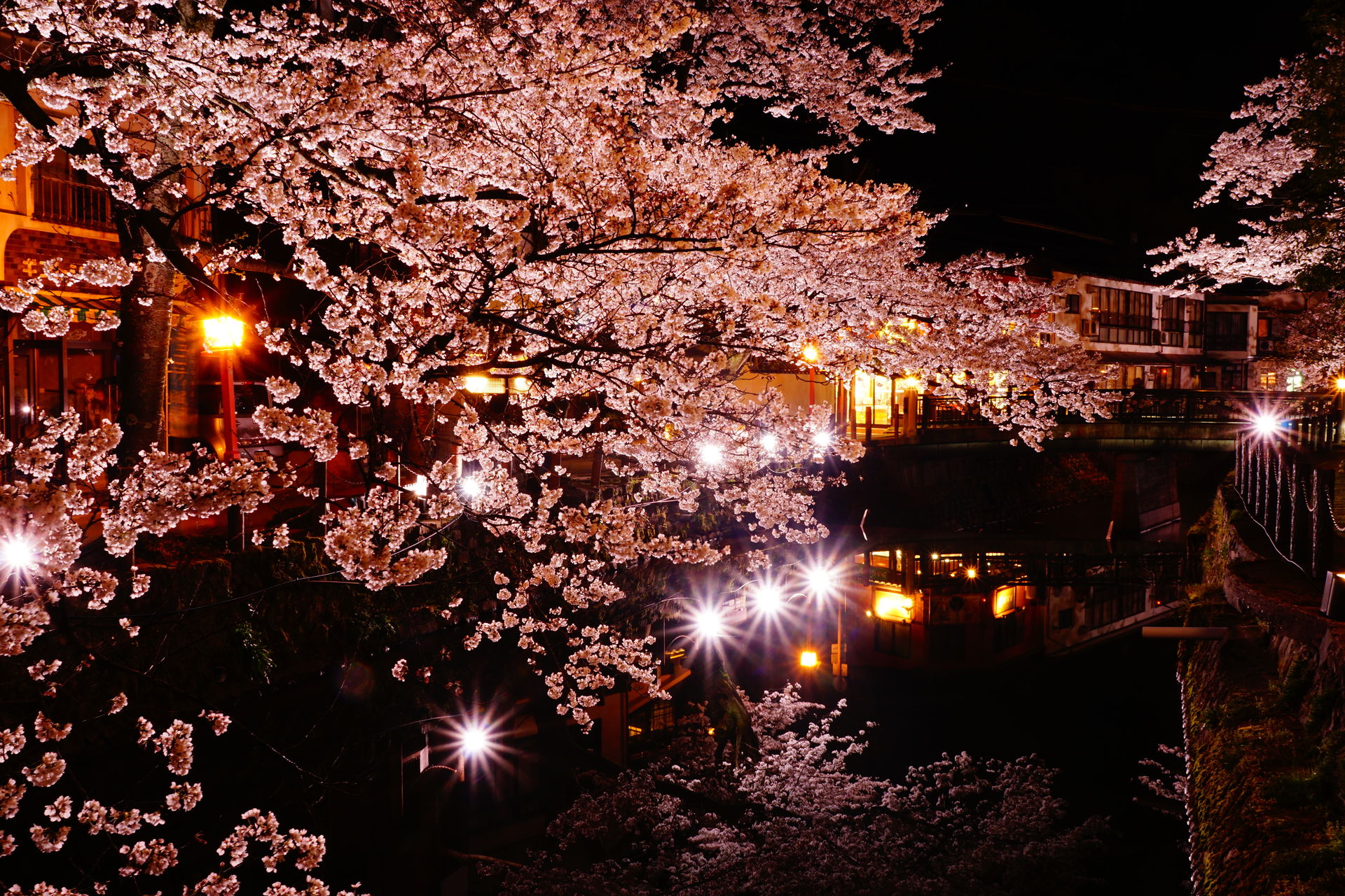 HOT SPRINGS & CHERRY BLOSSOMS - Visit Kinosaki