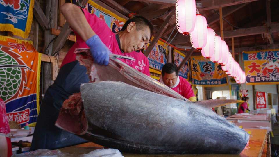 青森県 大間のマグロ by FIND47.JP