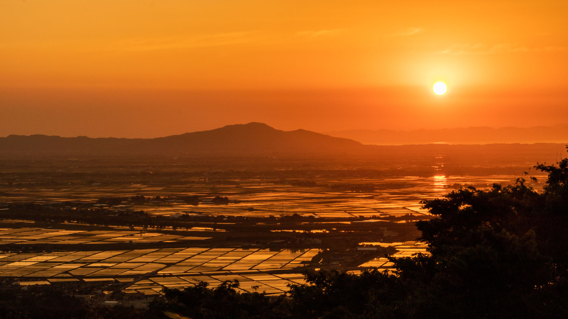 越後平野の夕焼け 新潟県 について詳しく見る Find 47