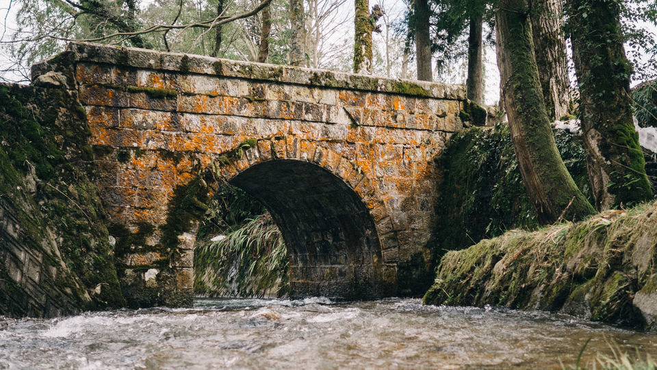 下向の旅の映像