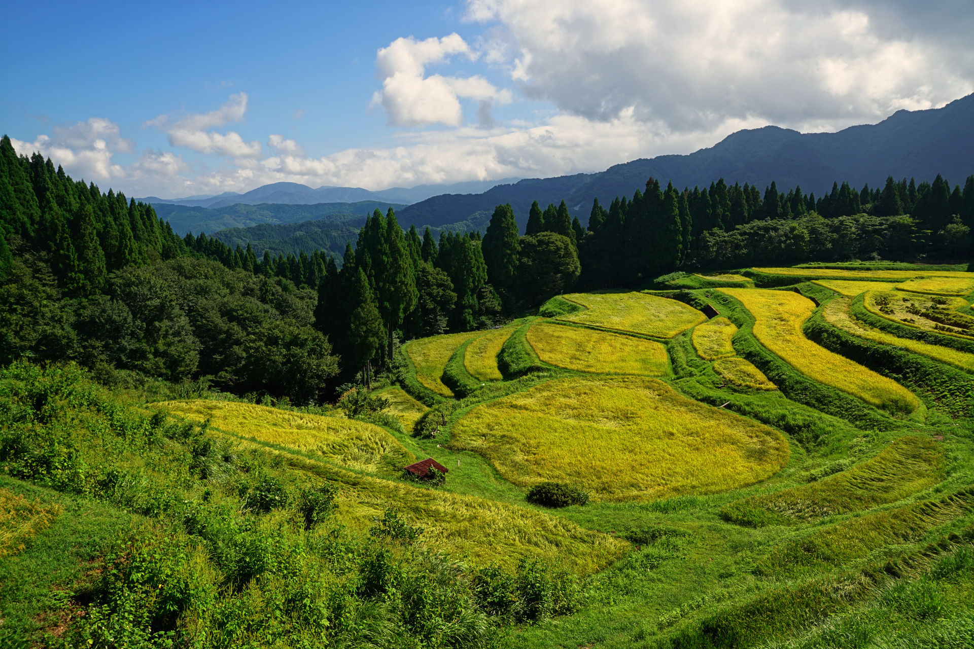 うへ山の棚田 初秋 兵庫県 について詳しく見る Find 47