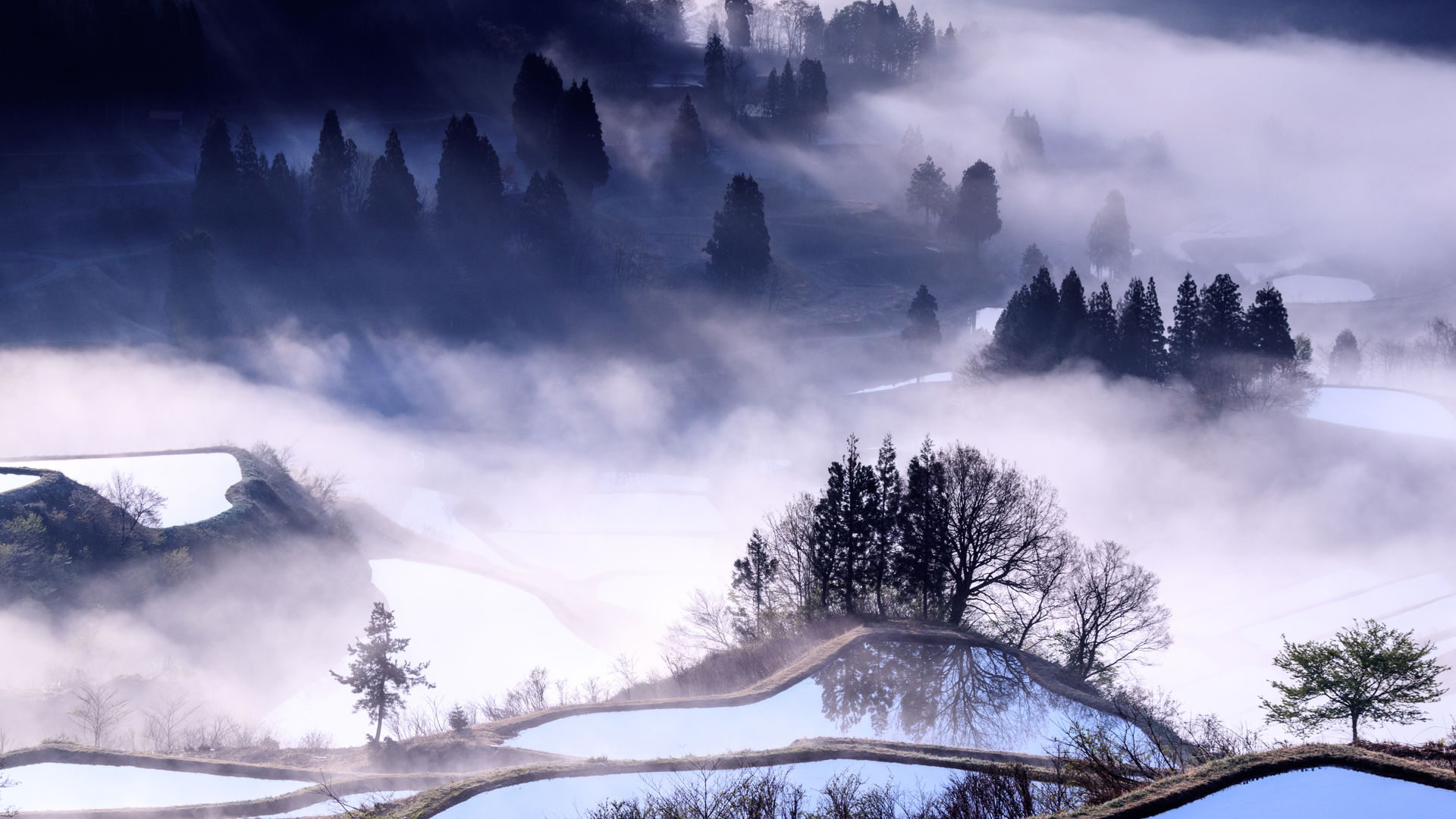 雲海と棚田(星峠) by FIND47.JP