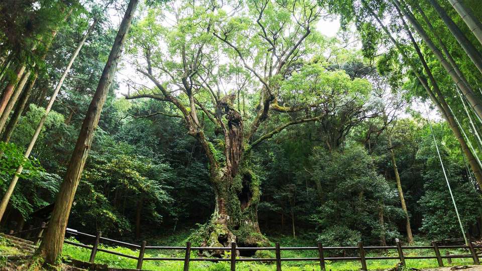 天空の城 by FIND47.JP