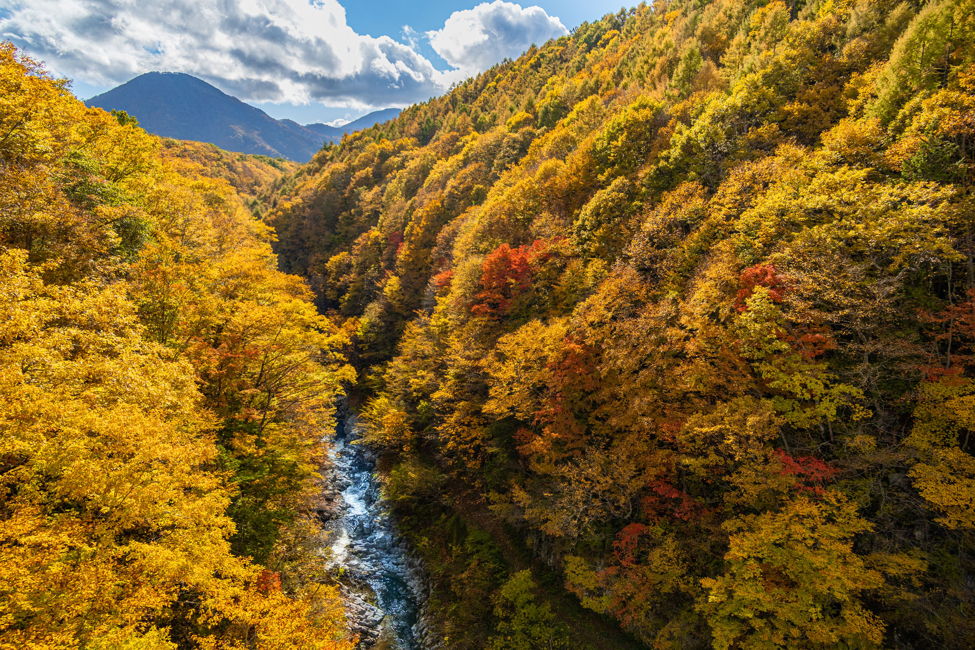 裏磐梯 紅葉 中津川渓谷 猪苗代町 福島県 について詳しく見る Find 47