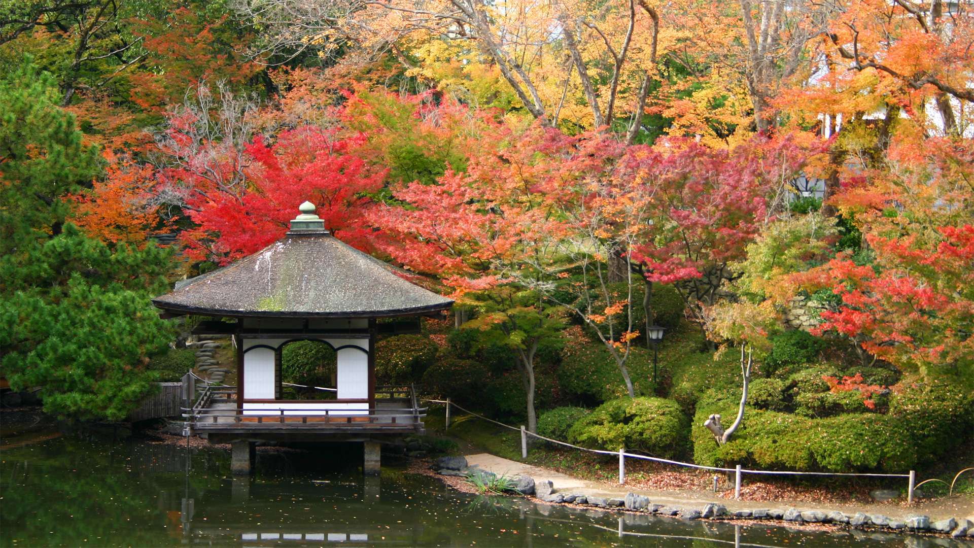 Киото япония. Сад замка Вакаяма. Японский сад Вакаяма. Киото Япония осень. Момидзи в Японии.